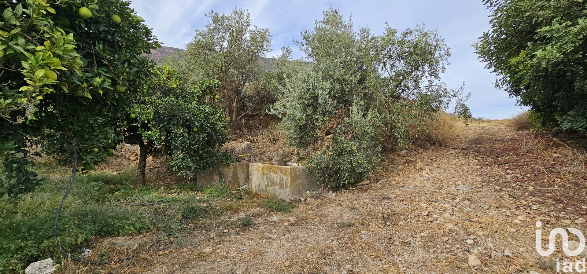Liikekiinteistö Illar, Almeria, Espanja No. 185671
