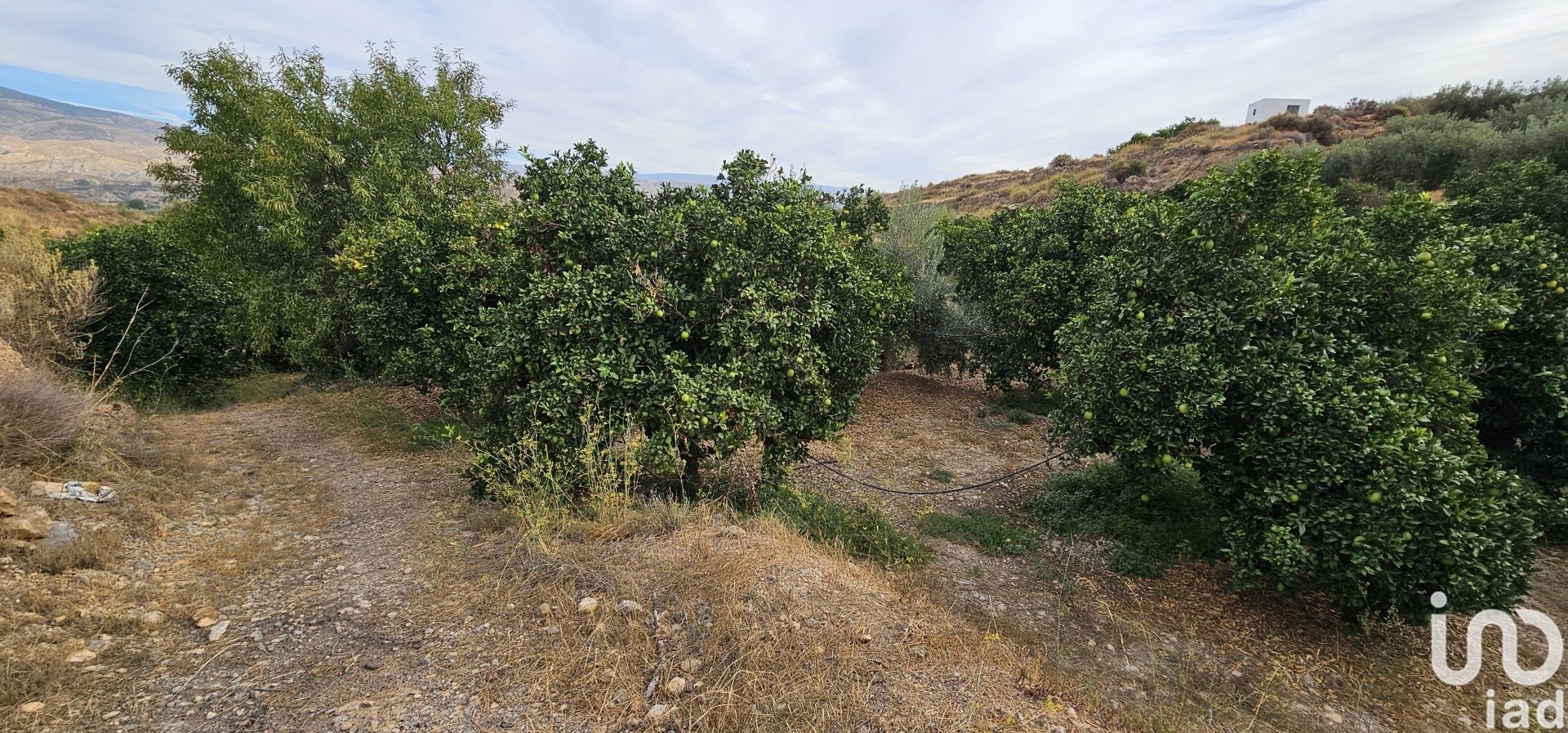 Liikekiinteistö Illar, Almeria, Espanja No. 185671