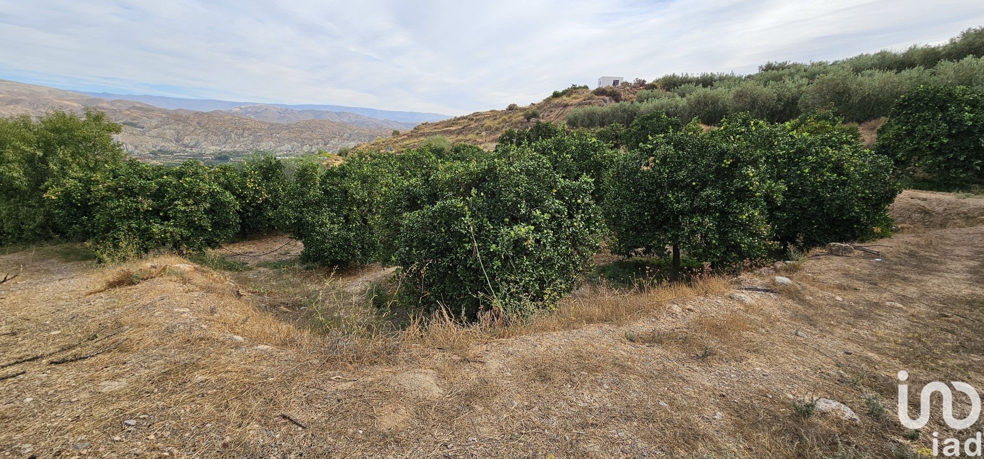 Liikekiinteistö Illar, Almeria, Espanja No. 185671
