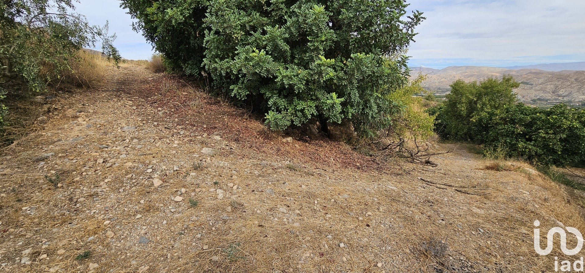 Liikekiinteistö Illar, Almeria, Espanja No. 185671