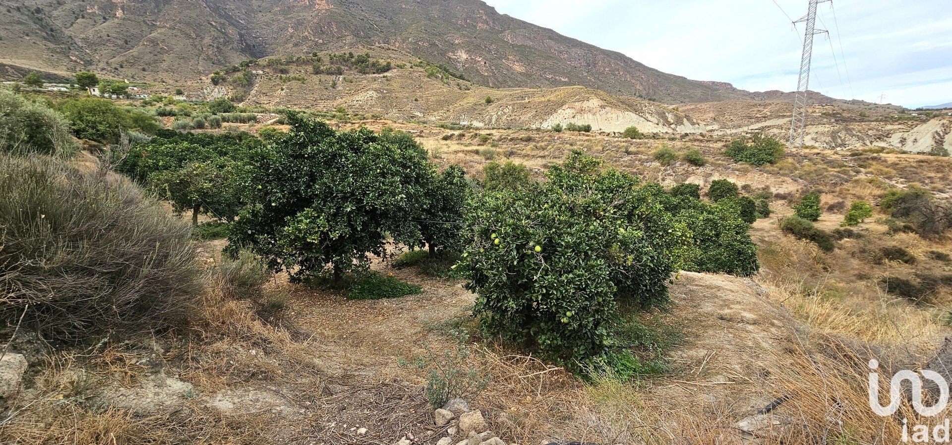 Liikekiinteistö Illar, Almeria, Espanja No. 185671
