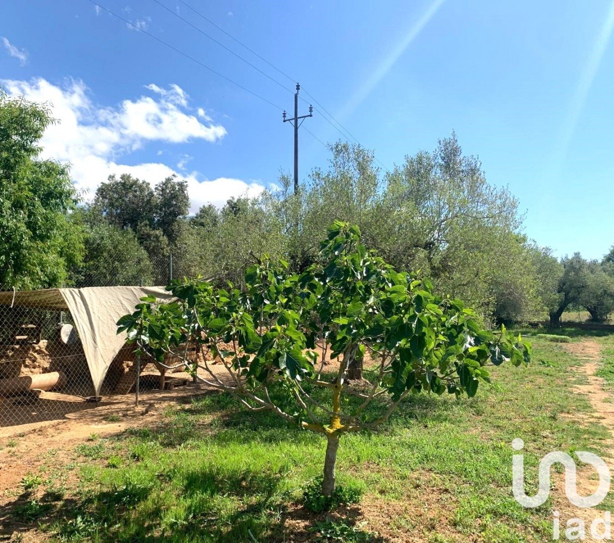 Zemes gabals Santa Oliva, Tarragona, Spānijā 8783 m2 Nr. 153499