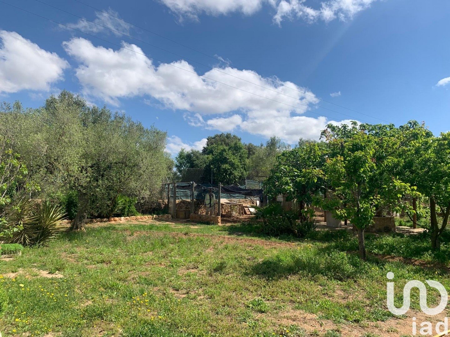 Zemes gabals Santa Oliva, Tarragona, Spānijā 8783 m2 Nr. 153499