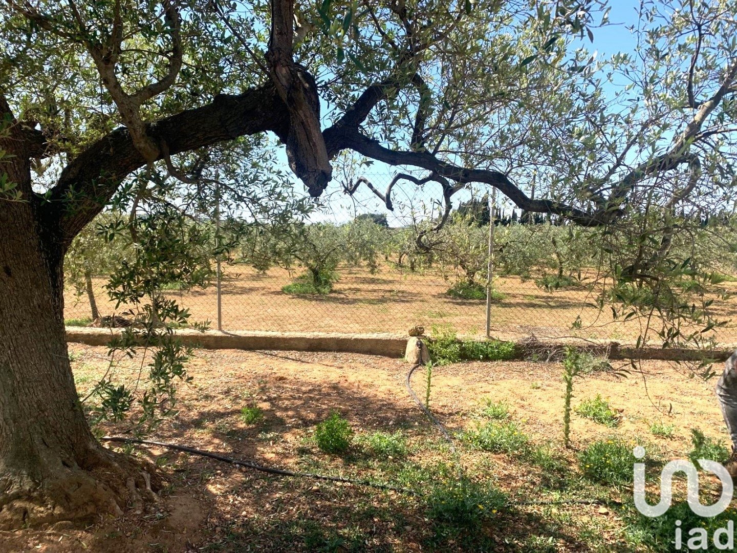 Zemes gabals Santa Oliva, Tarragona, Spānijā 8783 m2 Nr. 153499