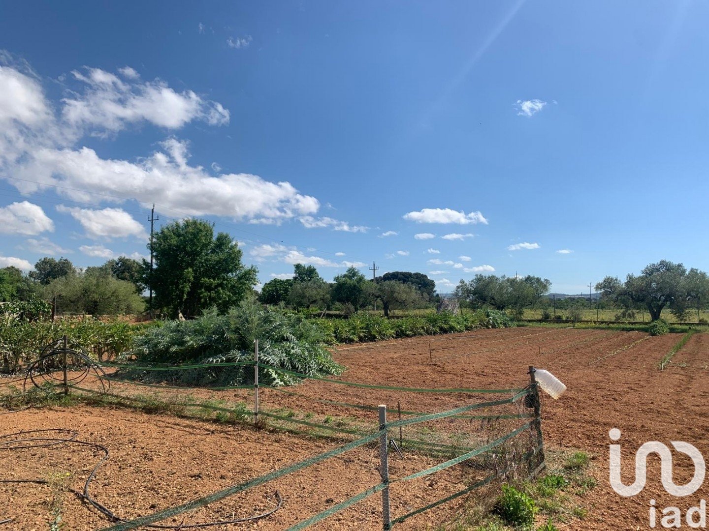 Zemes gabals Santa Oliva, Tarragona, Spānijā 8783 m2 Nr. 153499