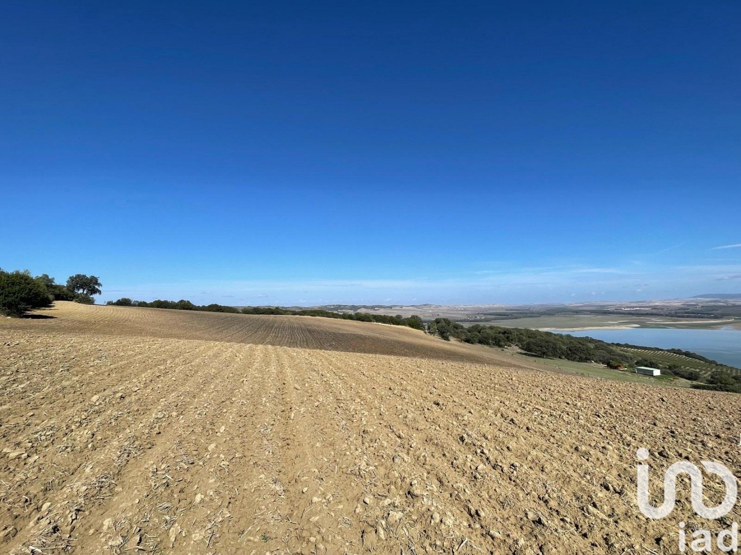 Terreno a Arcos de la Frontera, Cadiz, Spagna 49000 mq. N° 153781