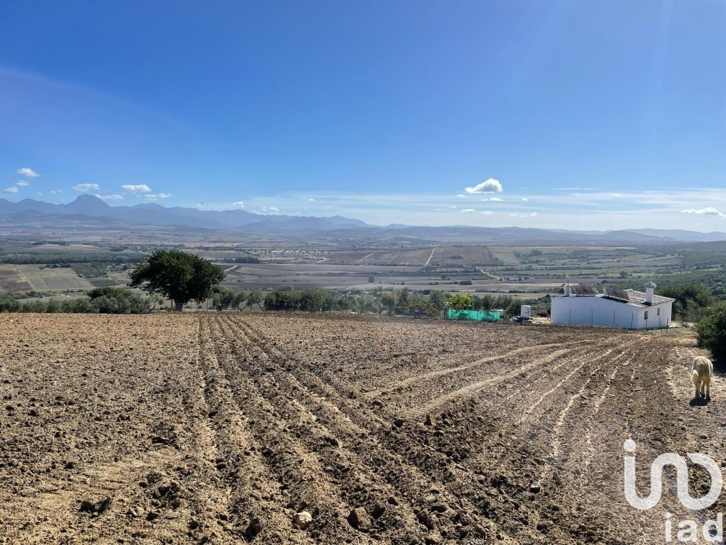 Terreno a Arcos de la Frontera, Cadiz, Spagna 49000 mq. N° 153781