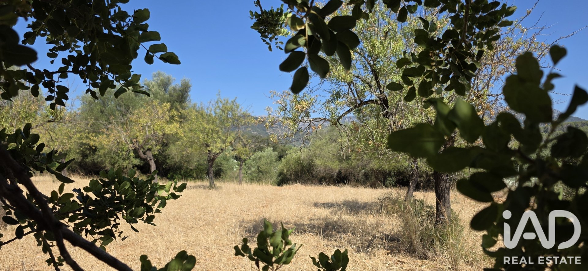 Działka w Selva, Mallorca, Hiszpania 14532 mkw. nr 188083