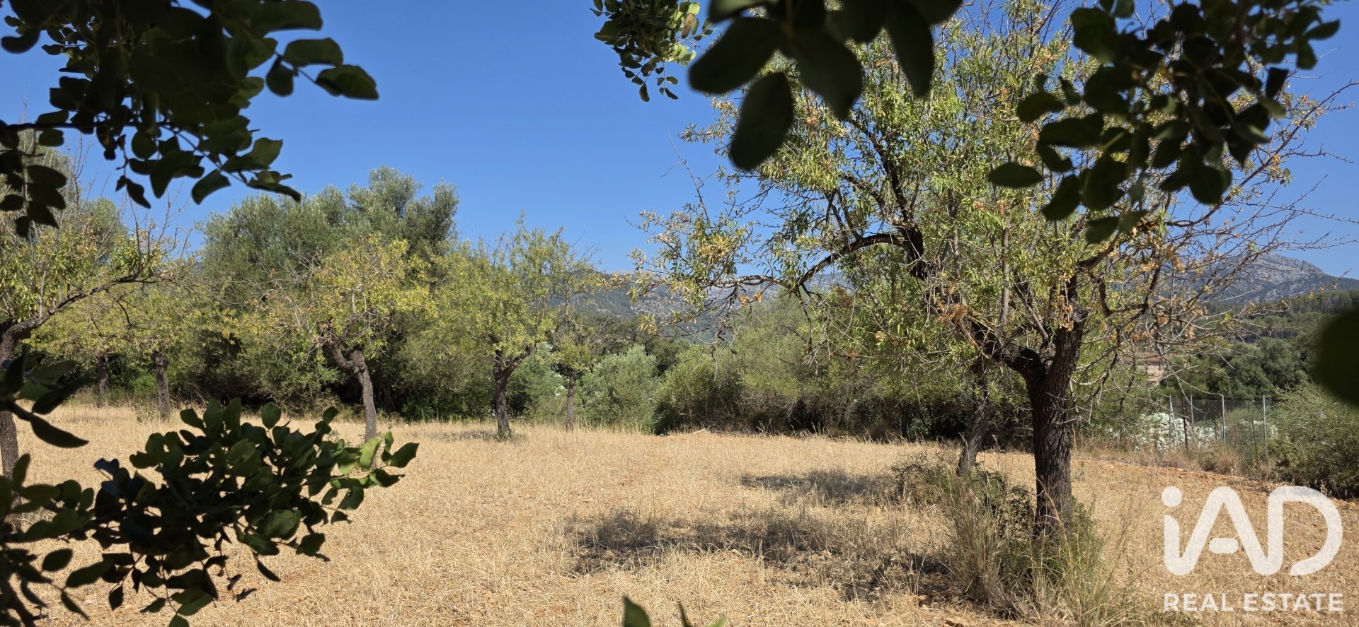 Działka w Selva, Mallorca, Hiszpania 14532 mkw. nr 188083