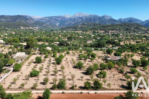 Land plot in Selva, Mallorca, Spain 14532 sq.m. No. 188083
