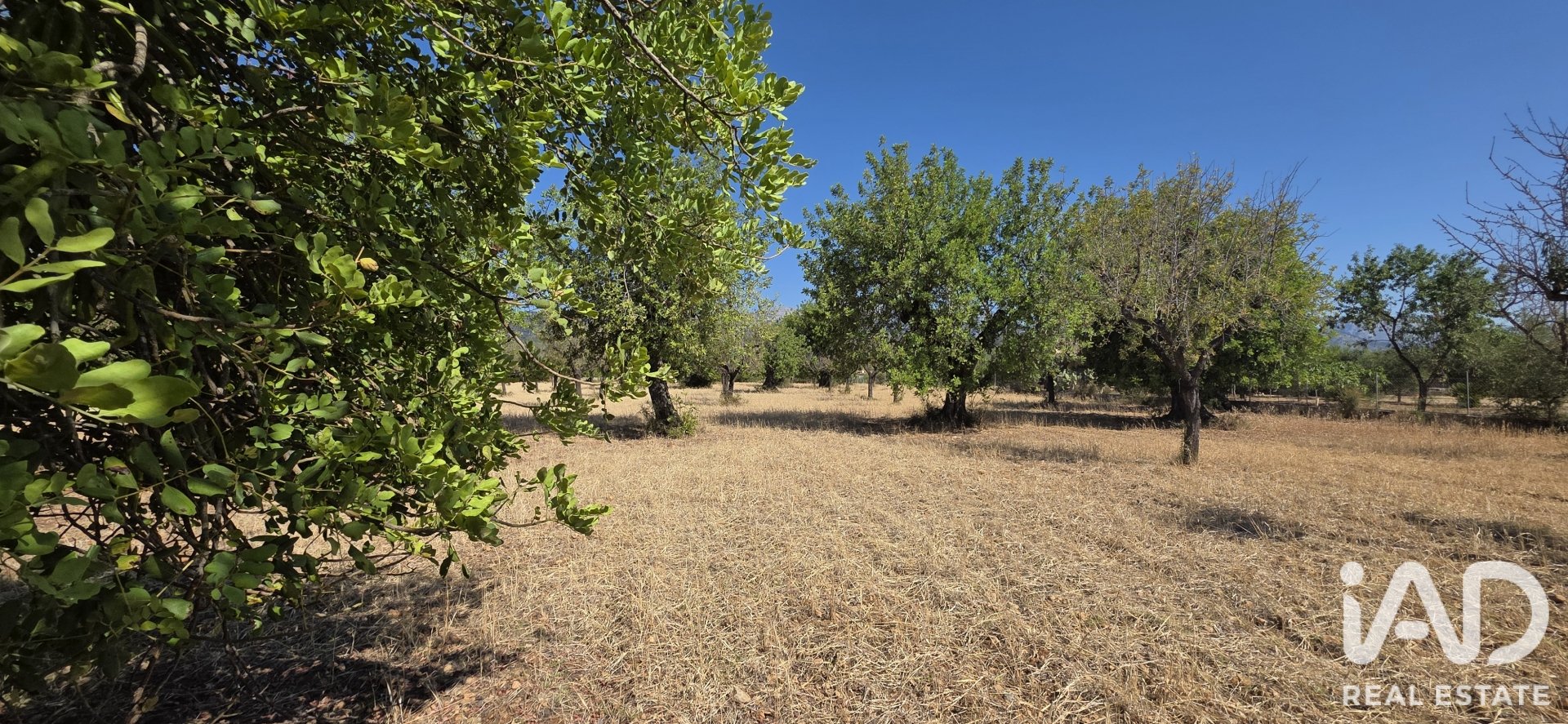 Działka w Selva, Mallorca, Hiszpania 14532 mkw. nr 188083