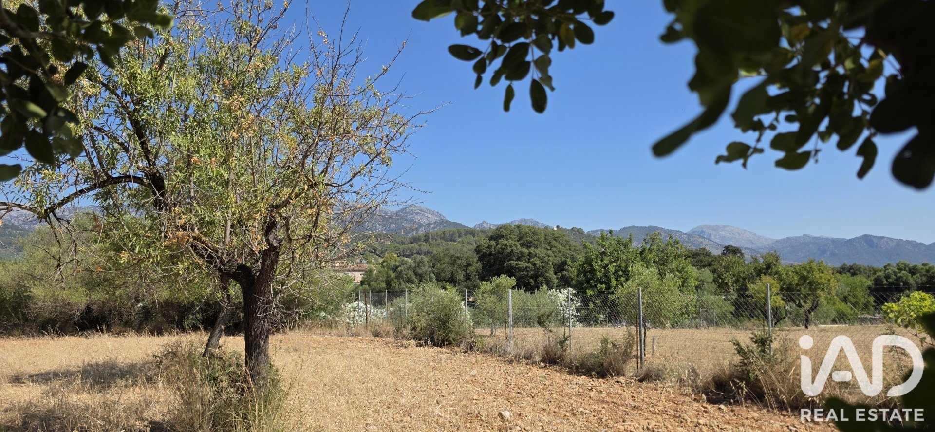 Działka w Selva, Mallorca, Hiszpania 14532 mkw. nr 188083