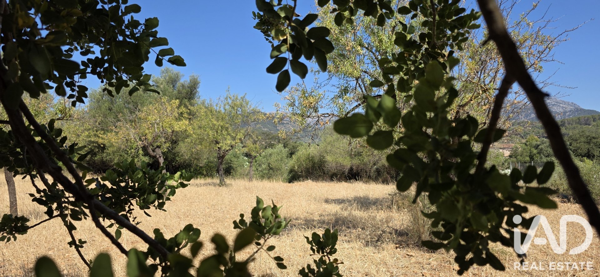 Działka w Selva, Mallorca, Hiszpania 14532 mkw. nr 188083