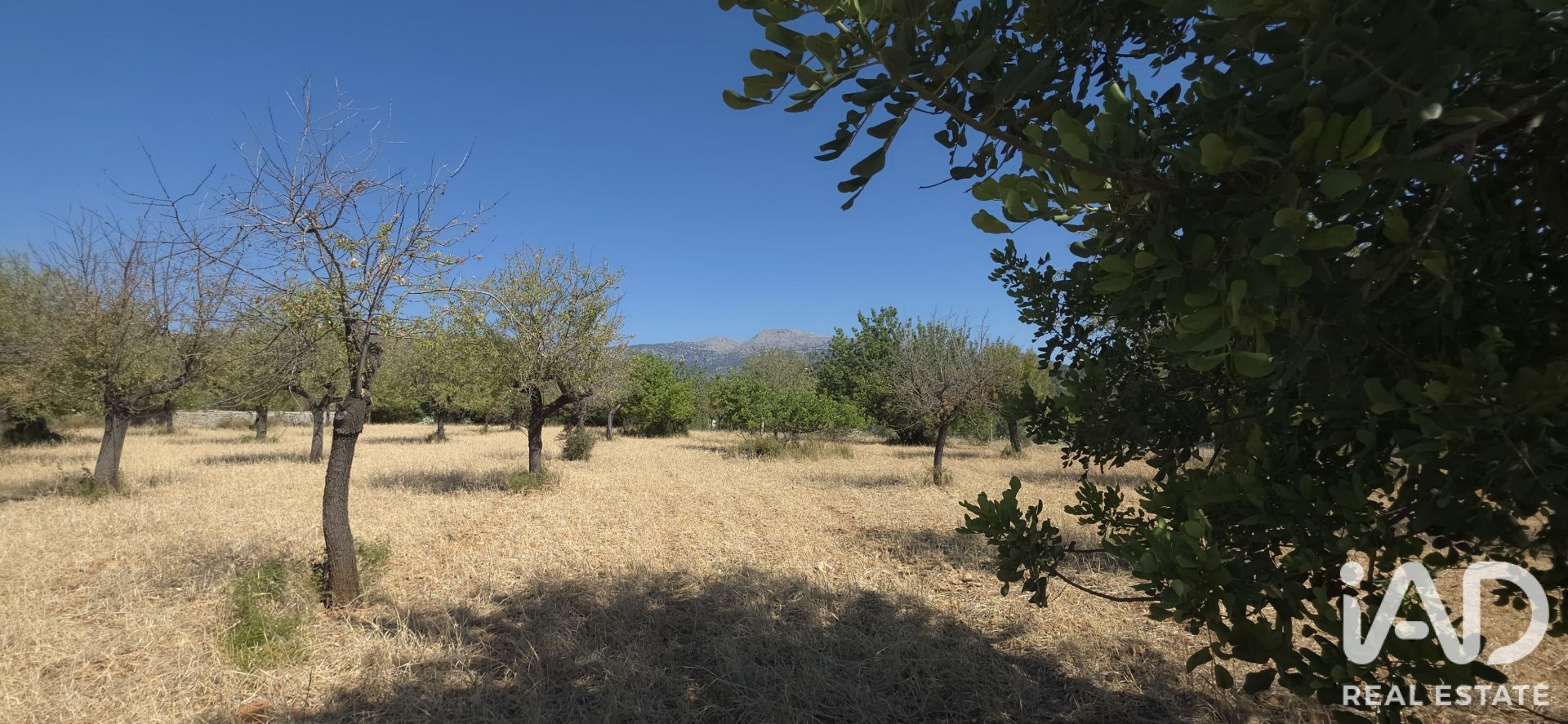 Działka w Selva, Mallorca, Hiszpania 14532 mkw. nr 188083