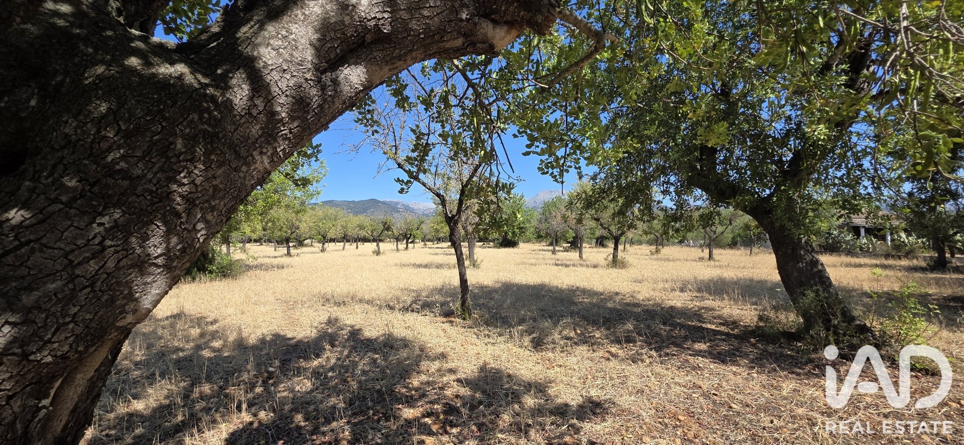 Działka w Selva, Mallorca, Hiszpania 14532 mkw. nr 188083