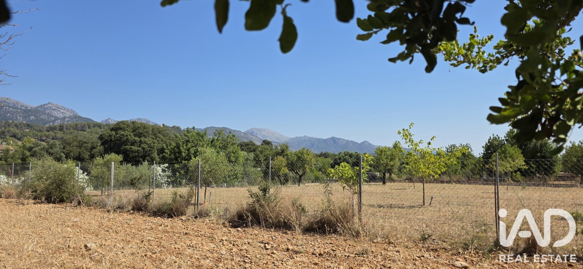 Działka w Selva, Mallorca, Hiszpania 14532 mkw. nr 188083