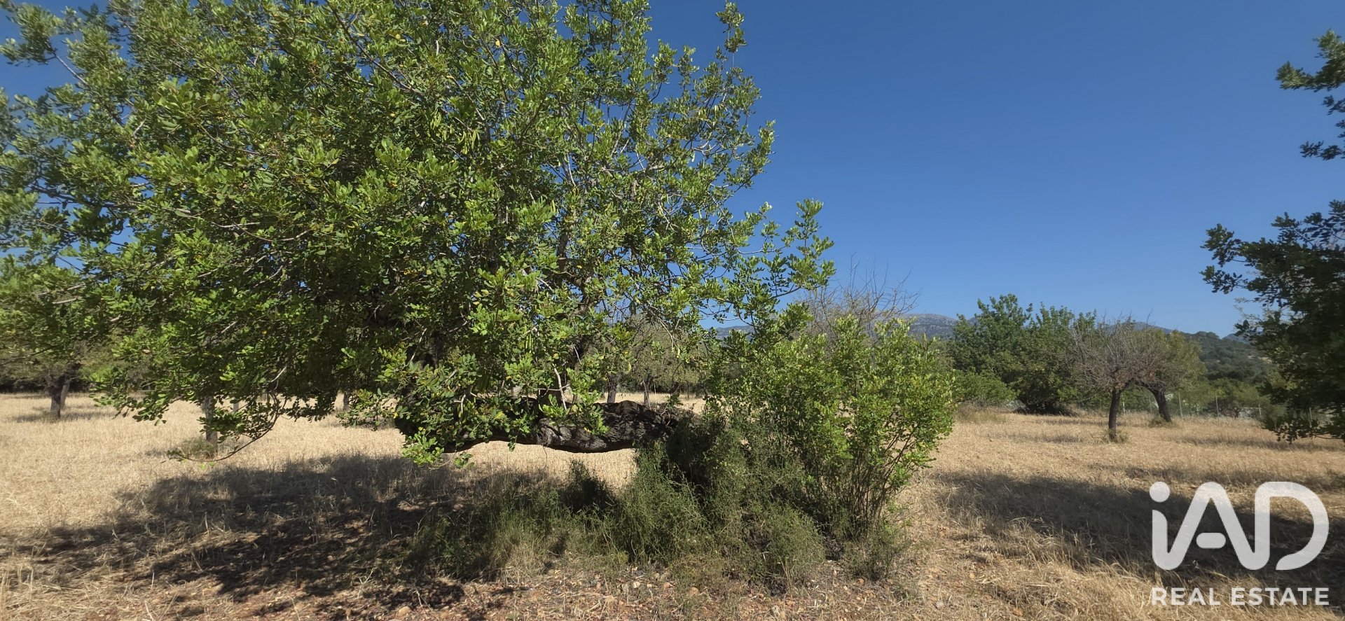 Działka w Selva, Mallorca, Hiszpania 14532 mkw. nr 188083
