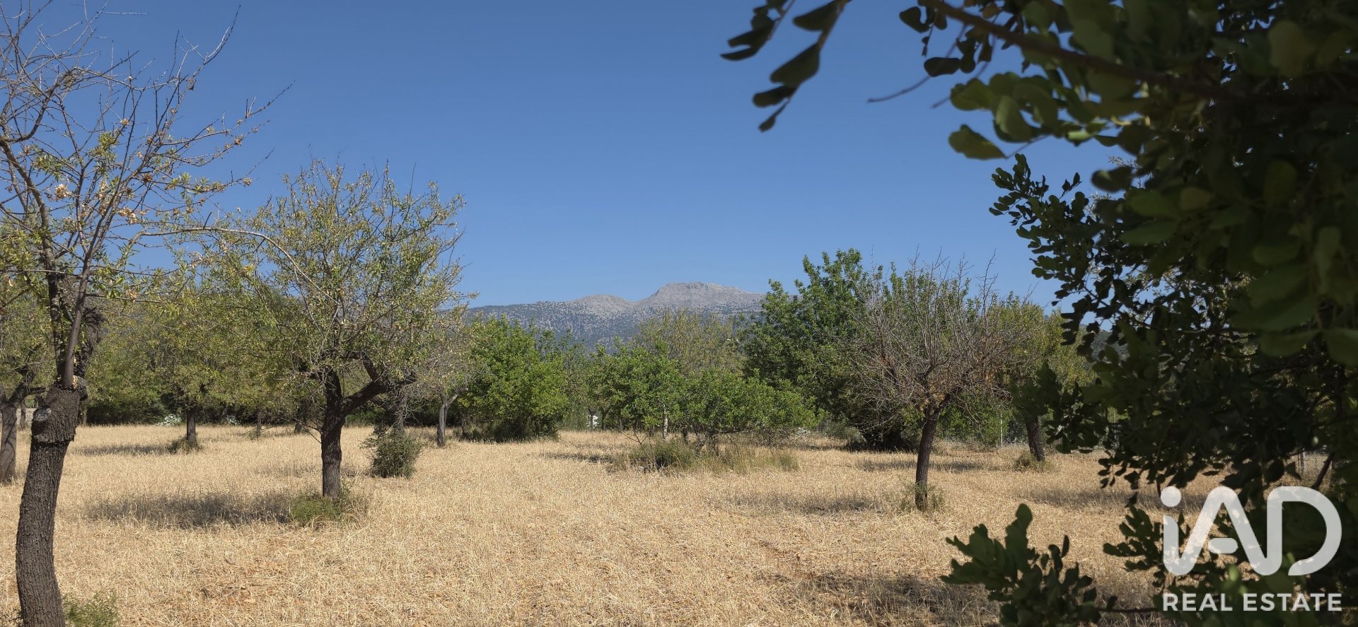 Działka w Selva, Mallorca, Hiszpania 14532 mkw. nr 188083