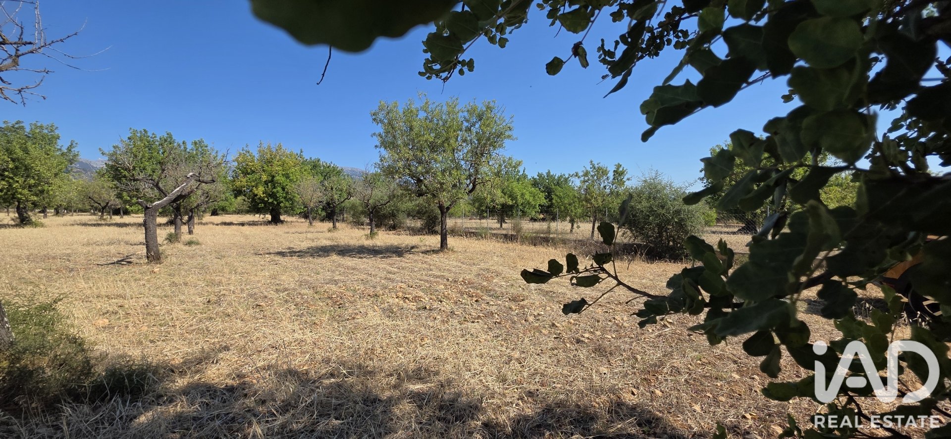 Działka w Selva, Mallorca, Hiszpania 14532 mkw. nr 188083
