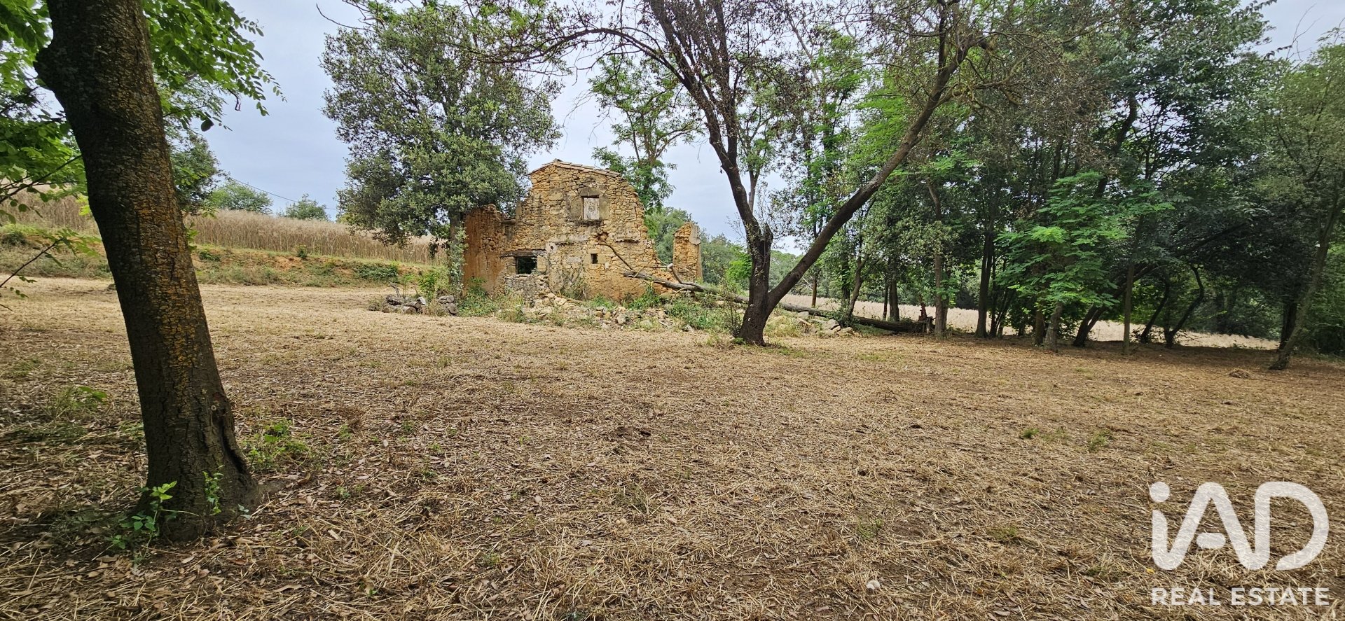 Land plot in Cornella Del Terri, Girona, Spain 3500 sq.m. No. 188084