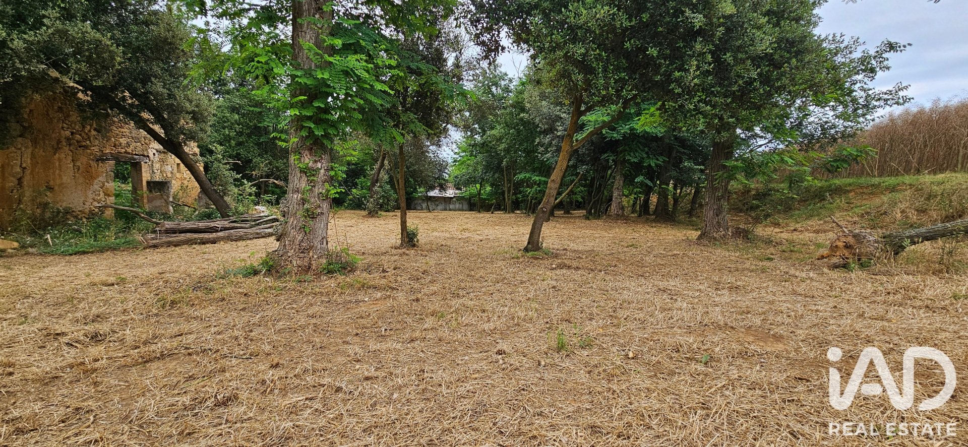 Land plot in Cornella Del Terri, Girona, Spain 3500 sq.m. No. 188084
