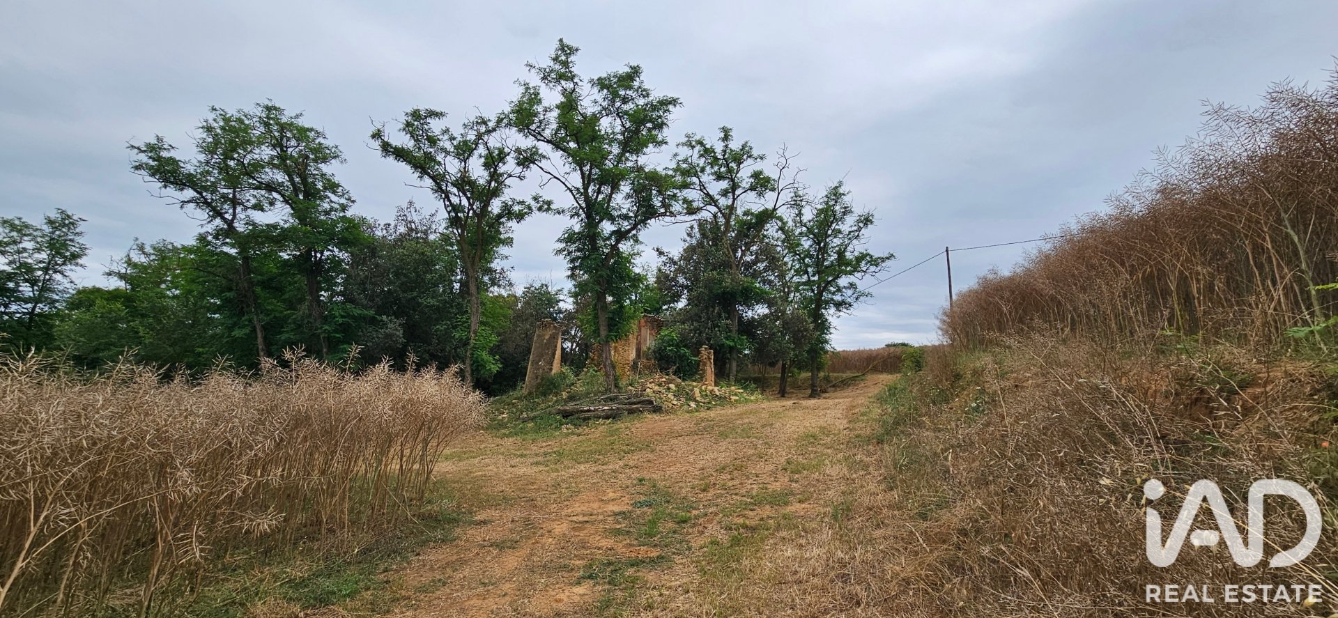 Land plot in Cornella Del Terri, Girona, Spain 3500 sq.m. No. 188084