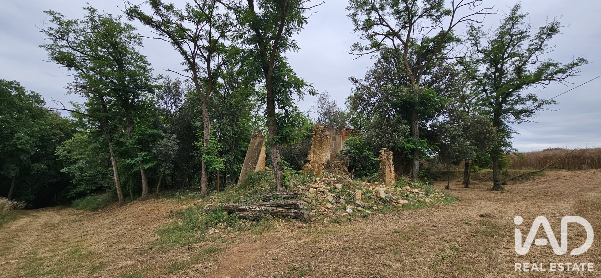 Land plot in Cornella Del Terri, Girona, Spain 3500 sq.m. No. 188084