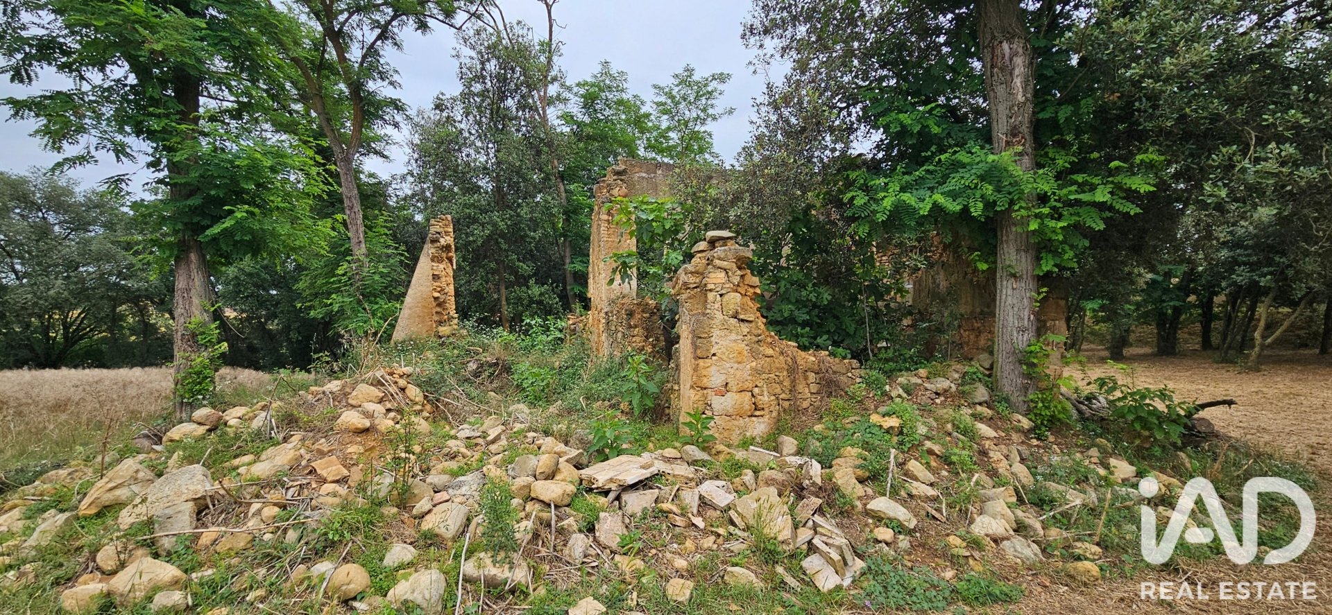 Land plot in Cornella Del Terri, Girona, Spain 3500 sq.m. No. 188084