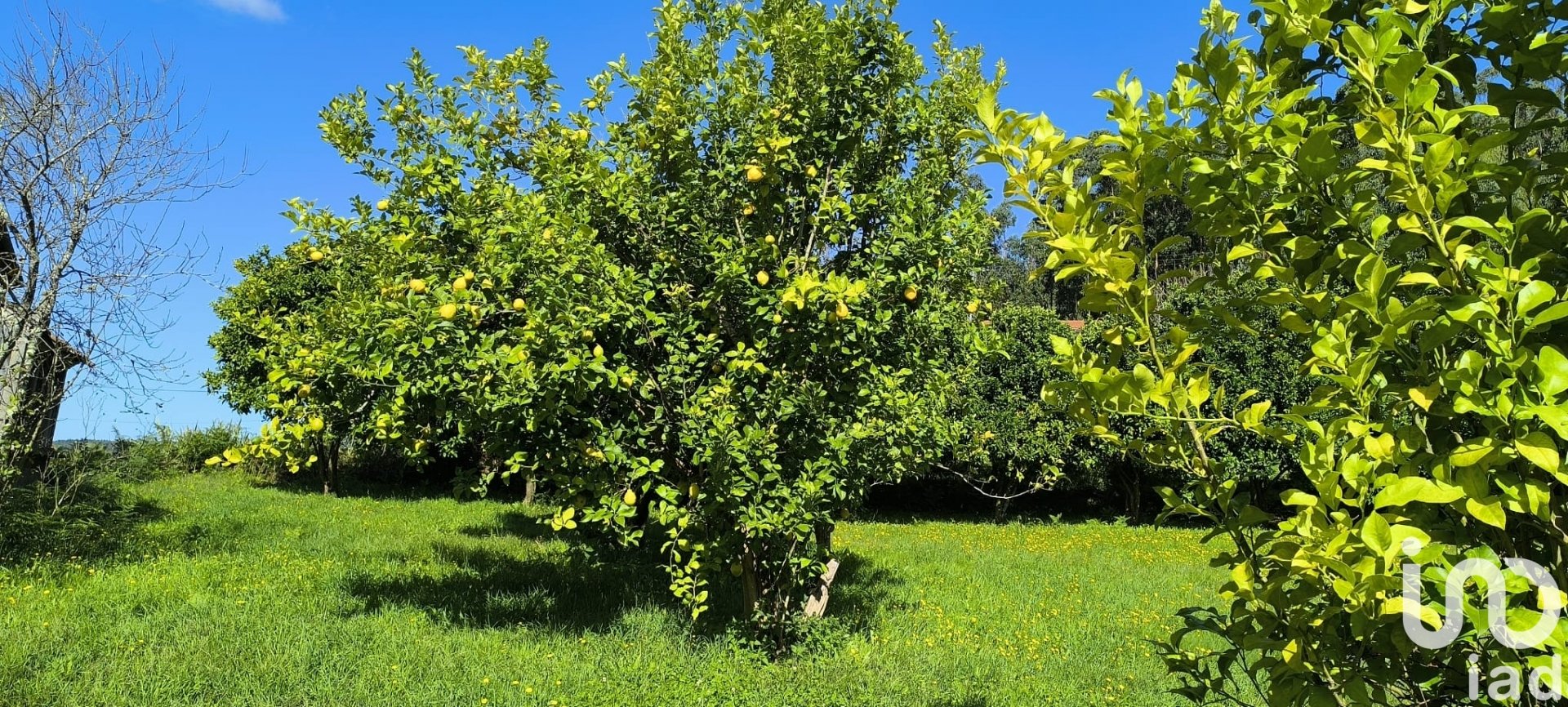 Дом в Вилармайор, Ла-Корунья, Испания 241м2 №185750