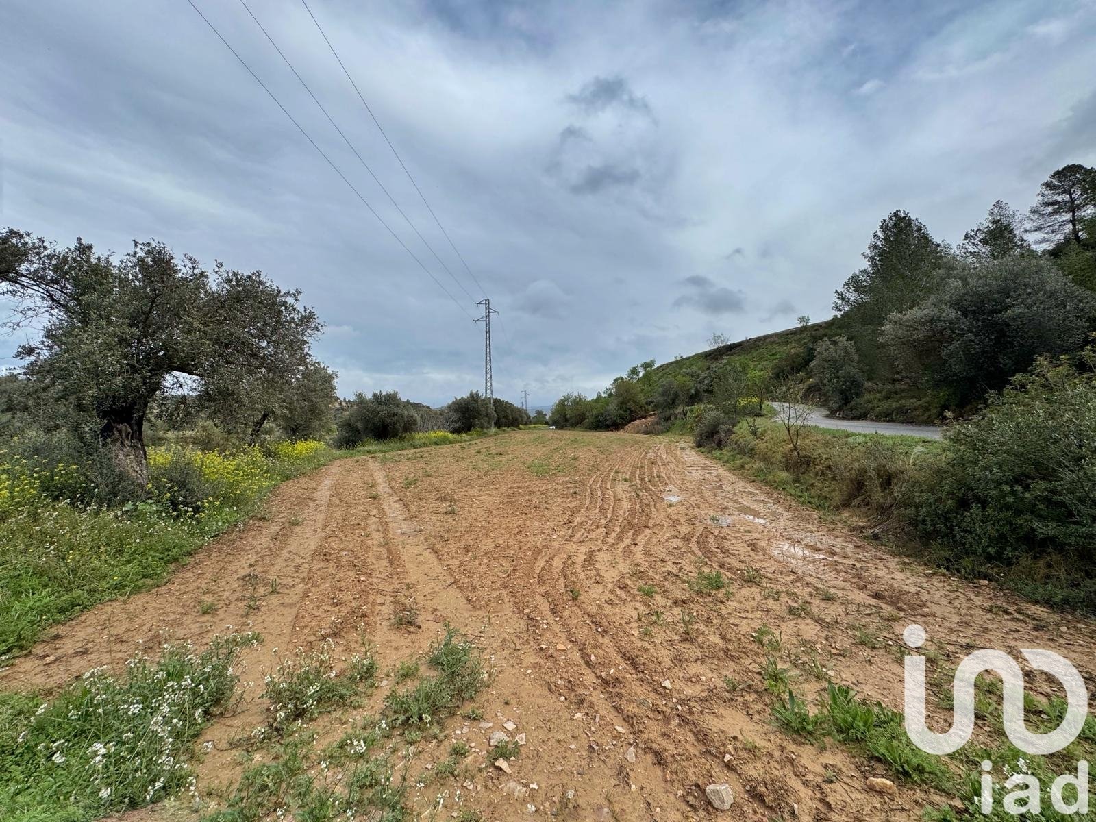Lokal usługowy w Asco, Tarragona, Hiszpania nr 185751