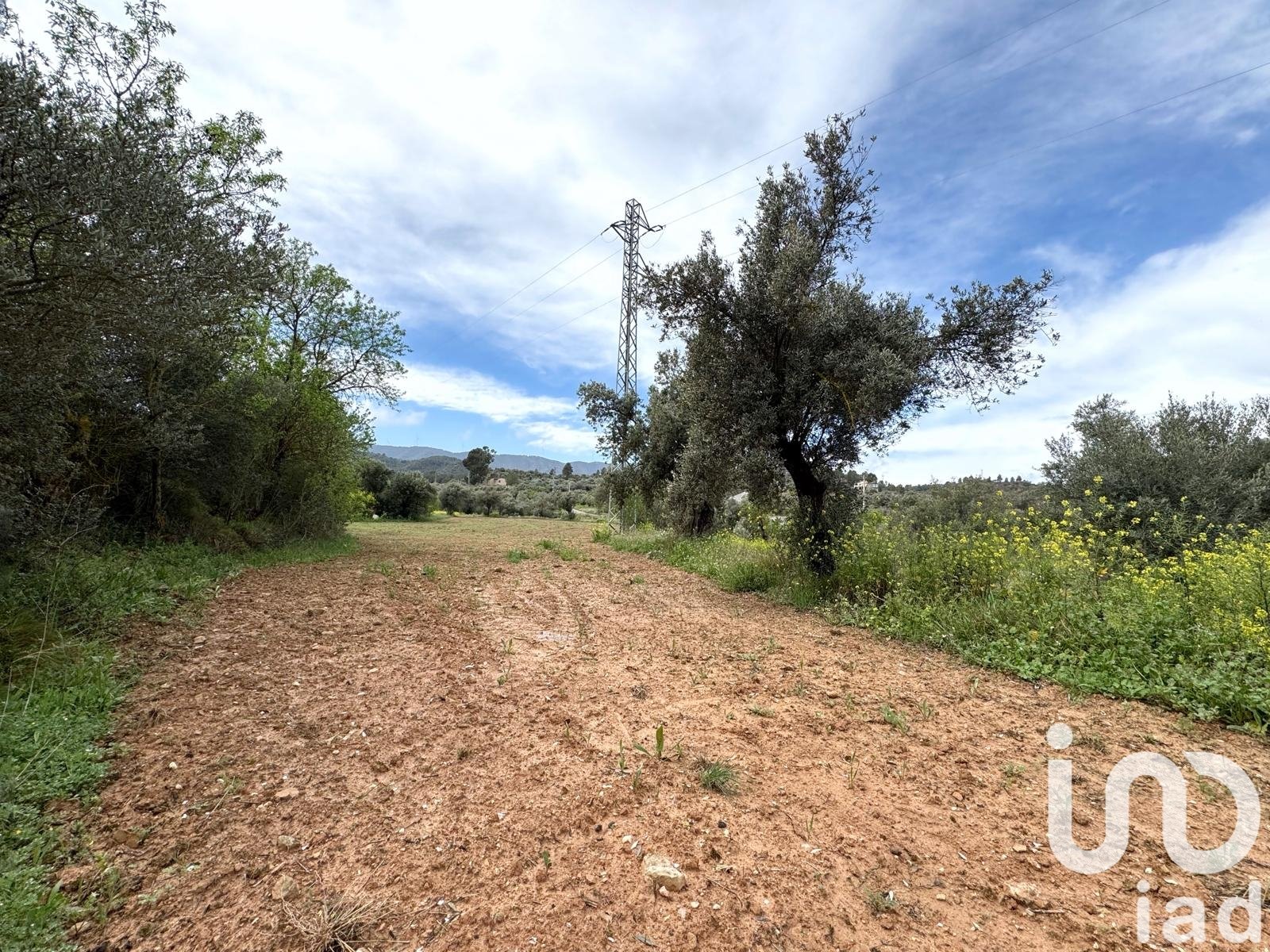 Lokal usługowy w Asco, Tarragona, Hiszpania nr 185751