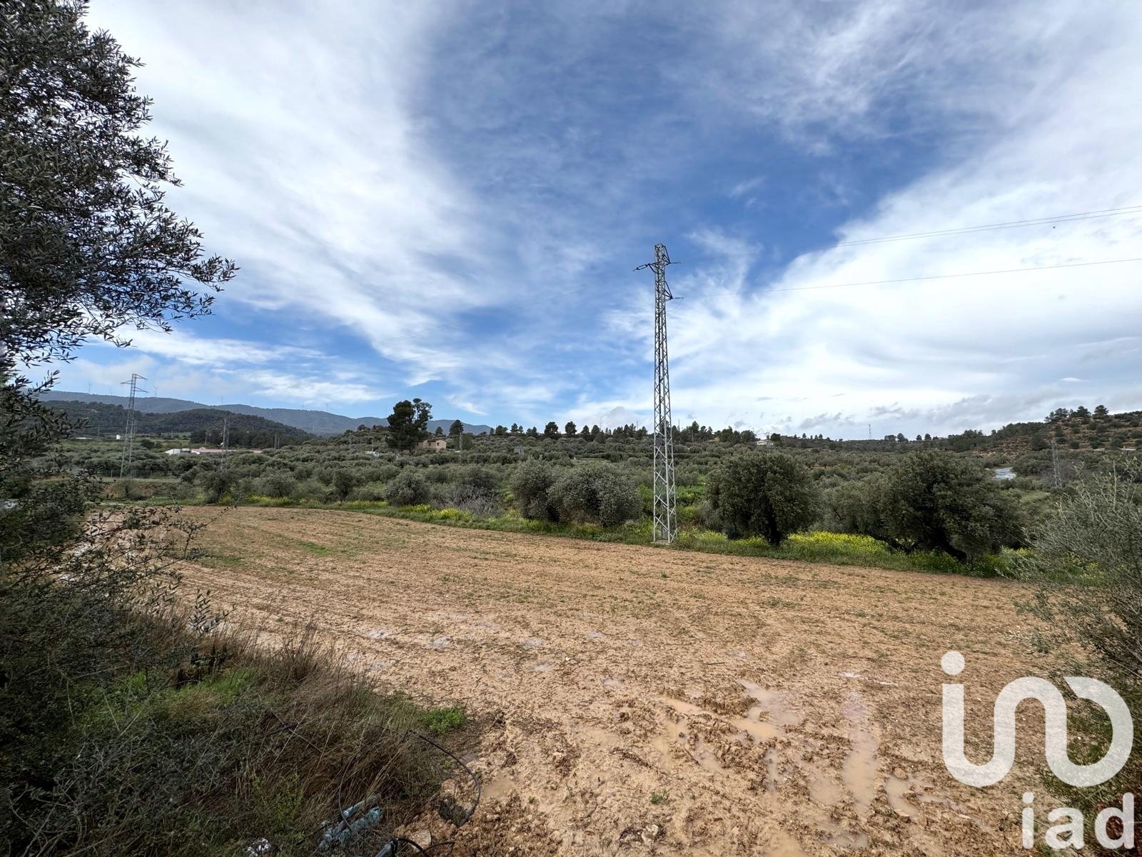 Lokal usługowy w Asco, Tarragona, Hiszpania nr 185751