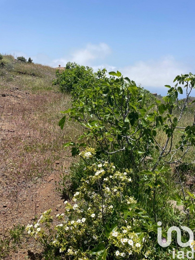 Land plot in Taucho, Tenerife, Spain 11000 sq.m. No. 185755