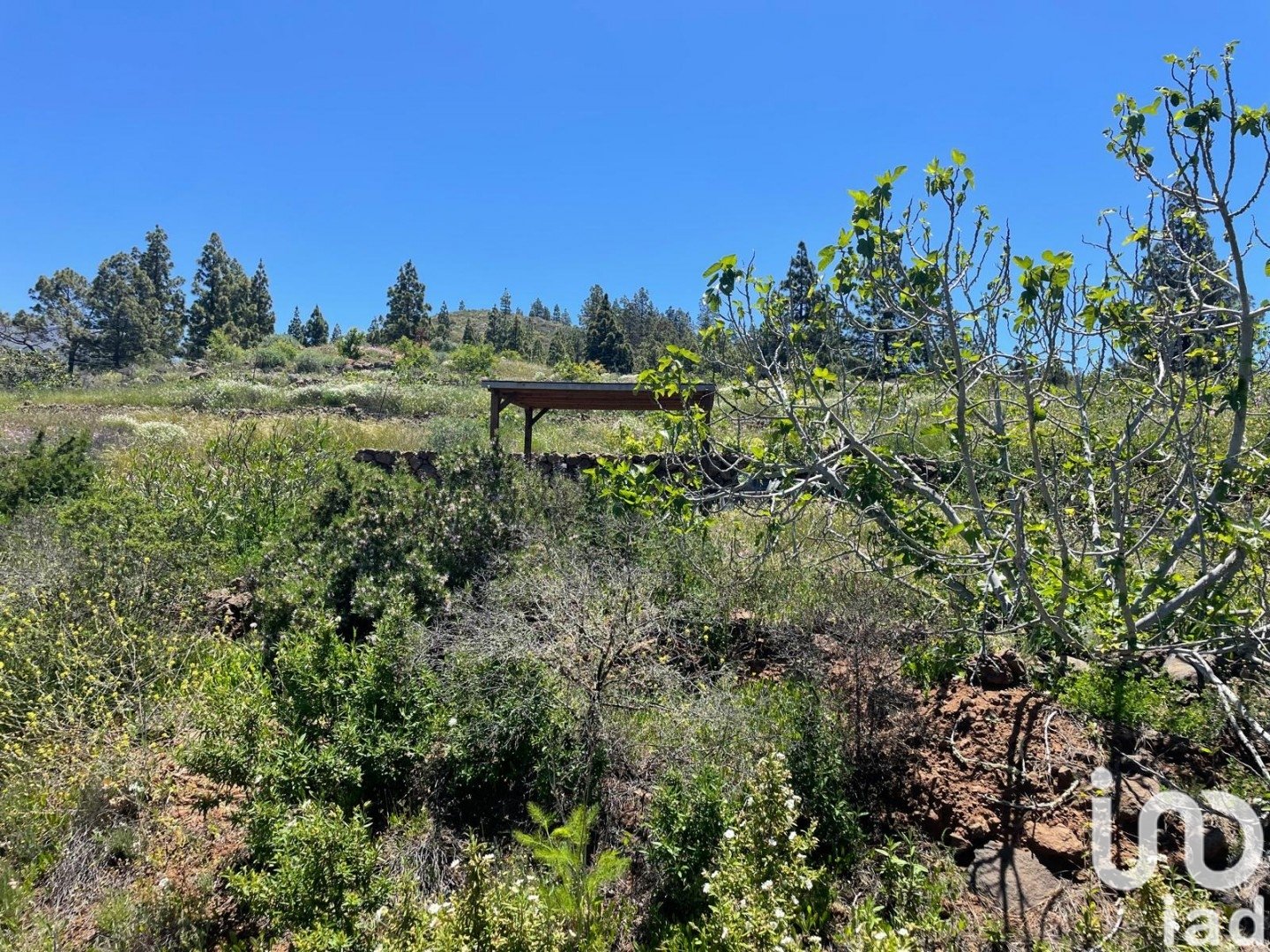 Land plot in Taucho, Tenerife, Spain 11000 sq.m. No. 185755
