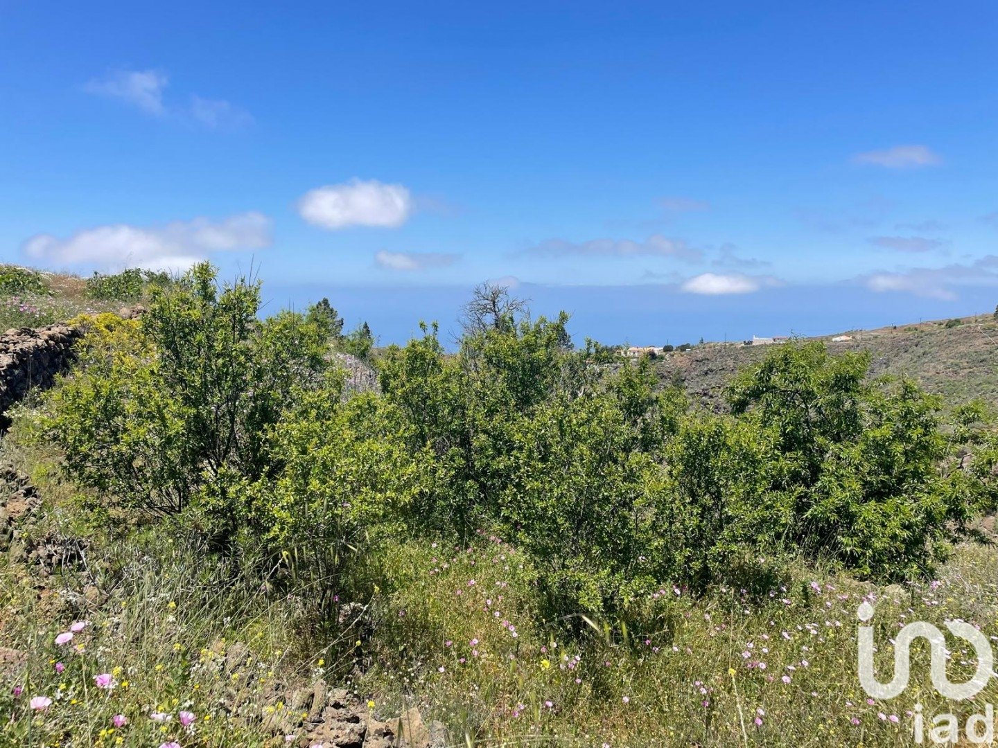 Land plot in Taucho, Tenerife, Spain 11000 sq.m. No. 185755