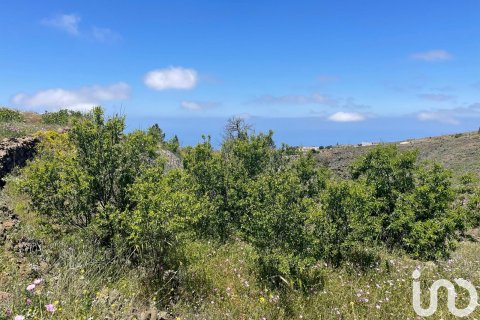 Land plot à Taucho, Tenerife, Espagne 11000 m2 No. 185755