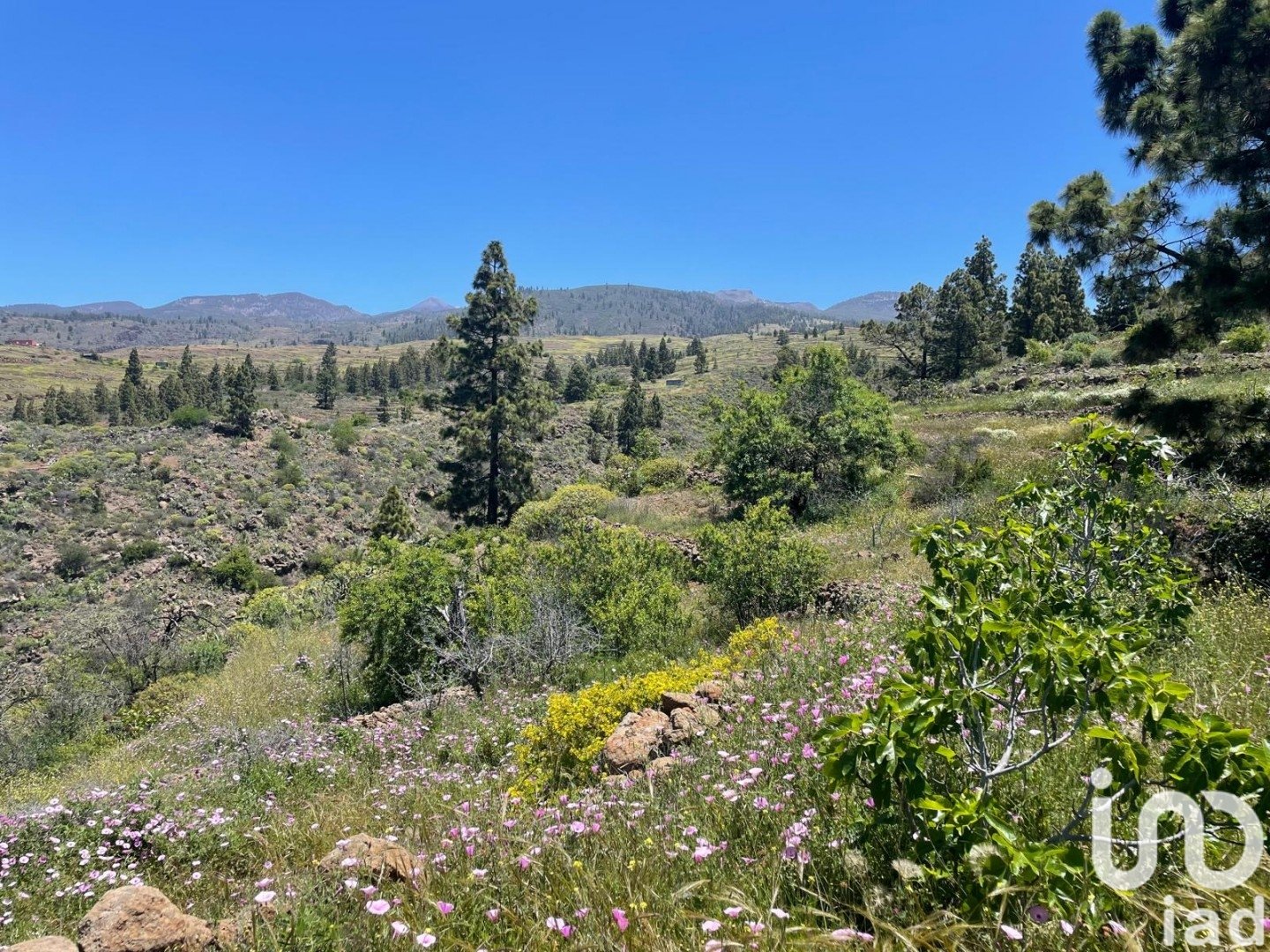 Land plot in Taucho, Tenerife, Spain 11000 sq.m. No. 185755