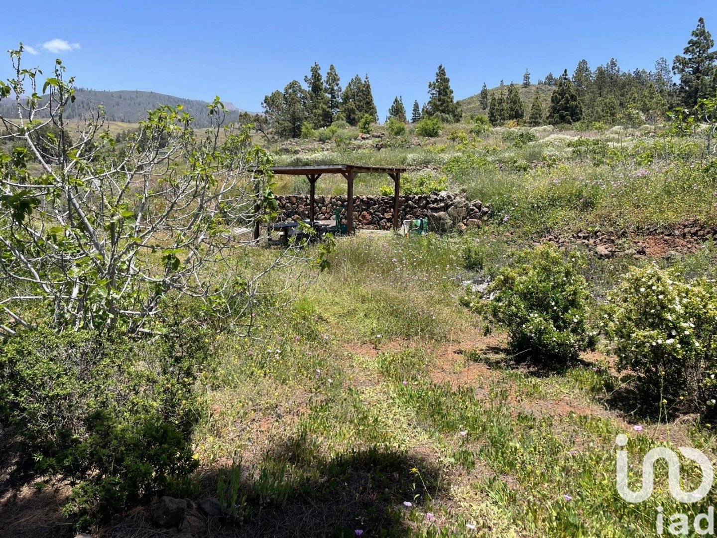 Land plot in Taucho, Tenerife, Spain 11000 sq.m. No. 185755