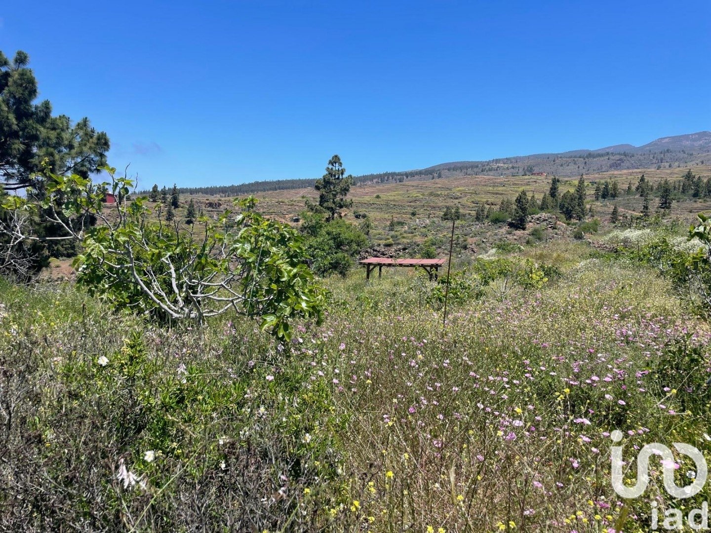 Land plot in Taucho, Tenerife, Spain 11000 sq.m. No. 185755