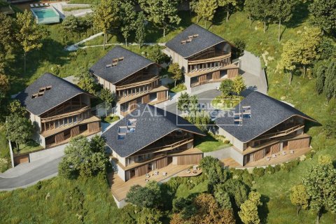 Villa Principado De Andorra (Ninguna Poblacion Tiene C.P.), Lleida, Spānijā 5 istabas, 666 m2 Nr. 160156