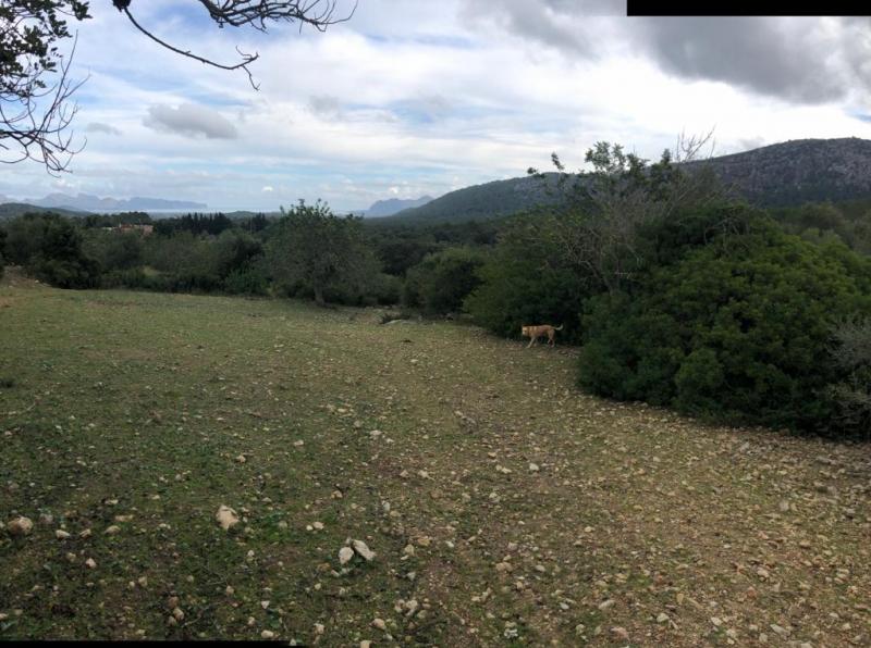 Villa en Pollenca, Mallorca, España No. 103246