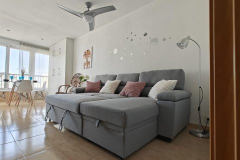 Apartment à Benidorm, Alicante, Espagne 55 m2 No. 165430