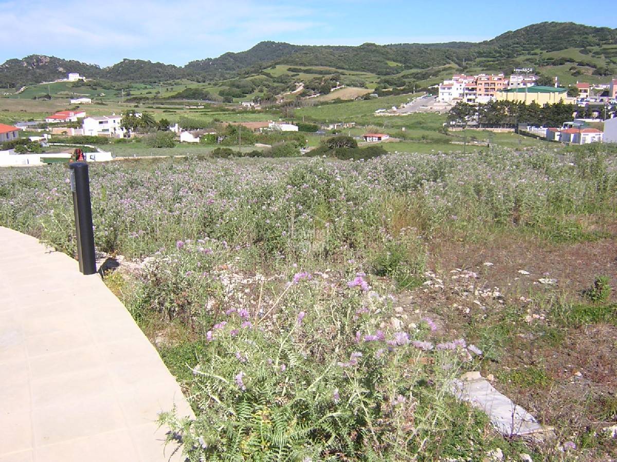 Land plot à Es Mercadal, Menorca, Espagne 300 m2 No. 65130