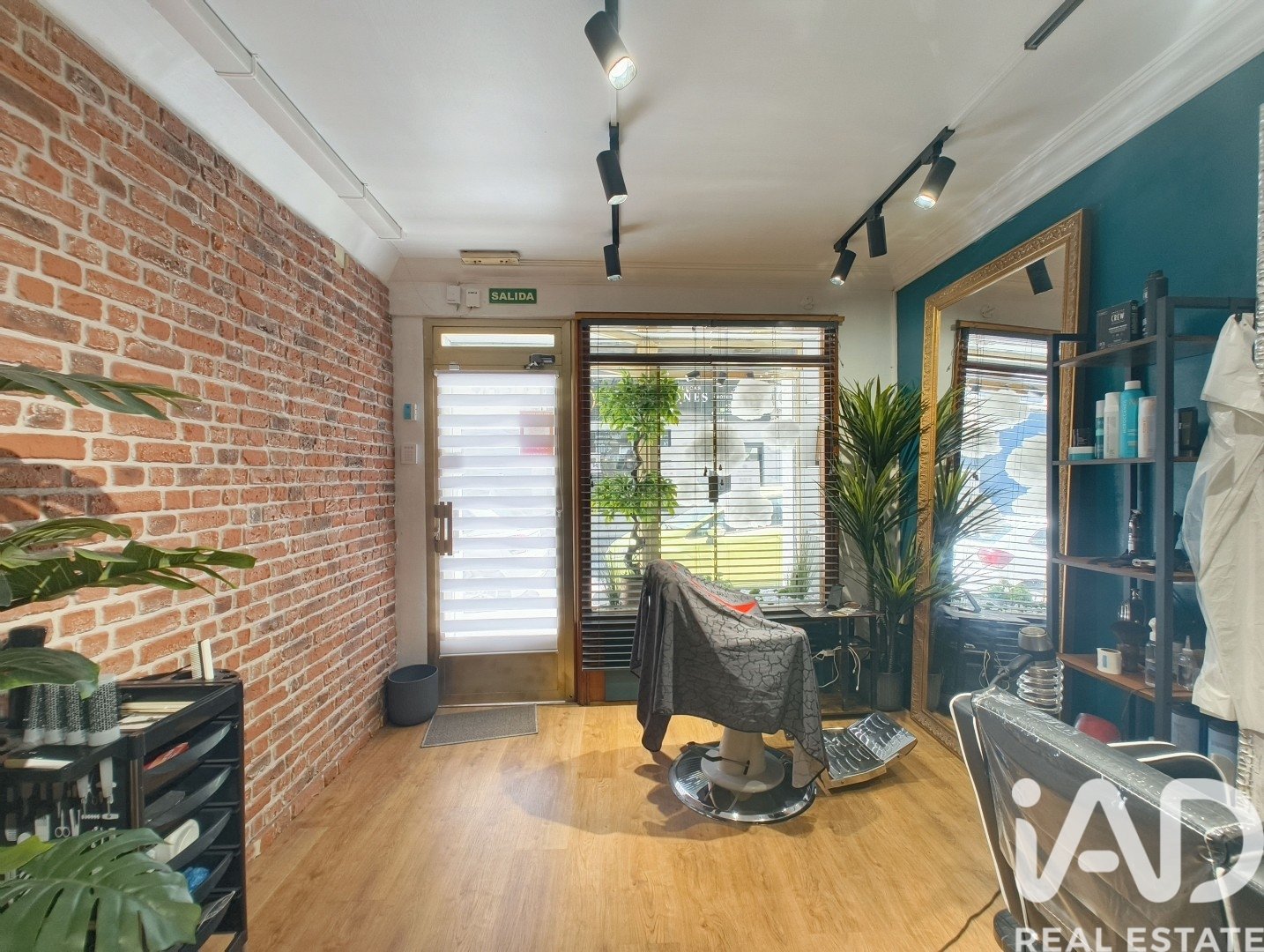 Commercial property in Alicante, Spain 35 sq.m. No. 184728