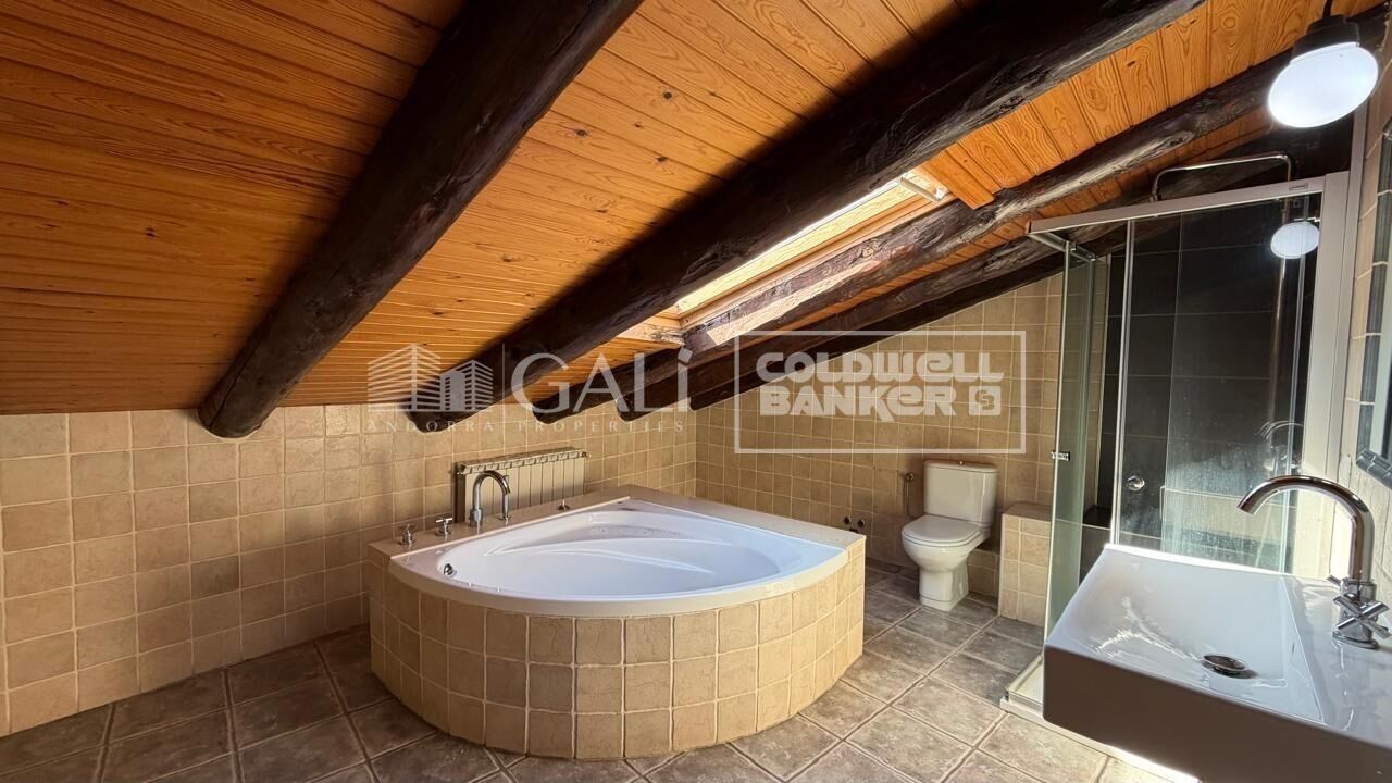 House in Principado De Andorra (Ninguna Poblacion Tiene C.P.), Lleida, Spanien 5 Schlafzimmer, 387 m2 Nr. 179099