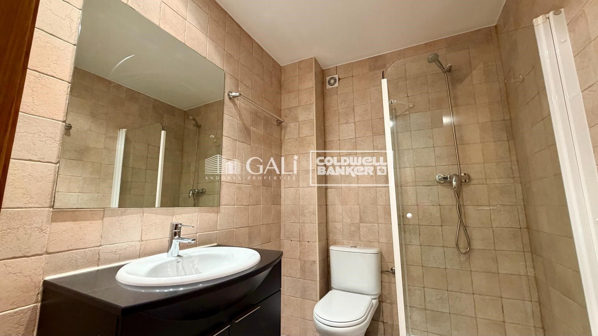 House in Principado De Andorra (Ninguna Poblacion Tiene C.P.), Lleida, Spanien 5 Schlafzimmer, 387 m2 Nr. 179099