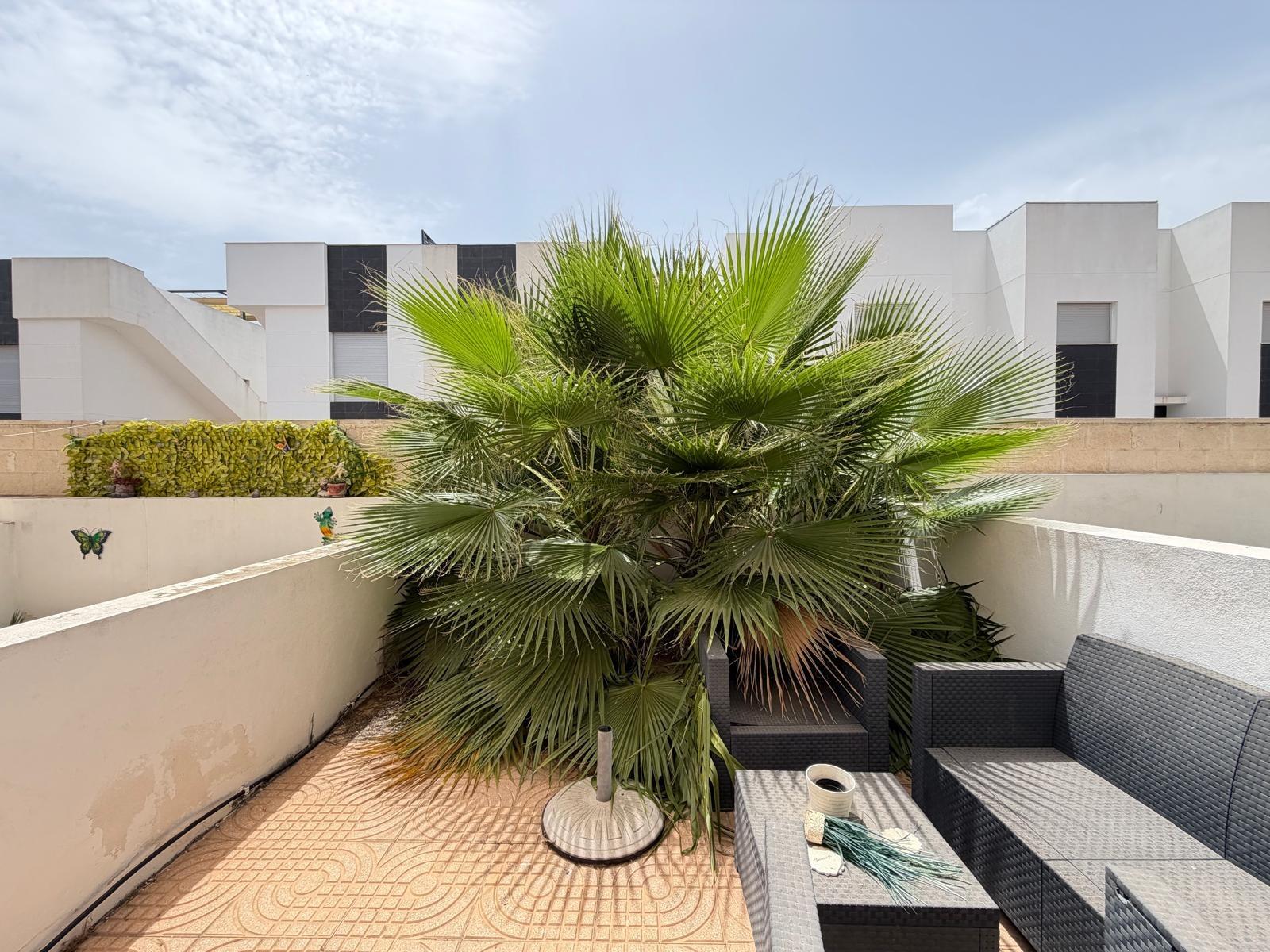 Kaupunkipientalo Alicante, Espanja 2 makuuhuonetta, 90 m2 No. 190291