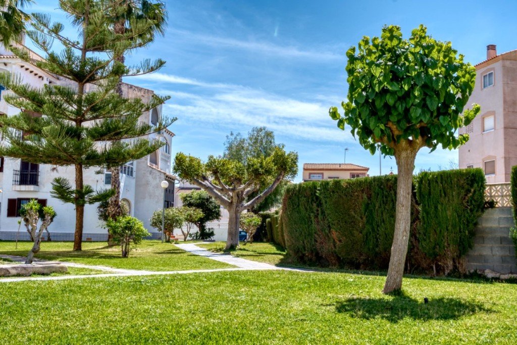 Kamienica w Torrevieja, Alicante, Hiszpania 1 sypialnia, 44 mkw. nr 183586