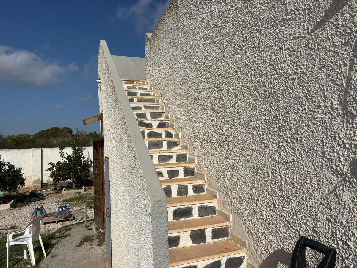 Villa i Torrevieja, Alicante, Spanien 2 sovrum, 75 kvm. Nr. 149147