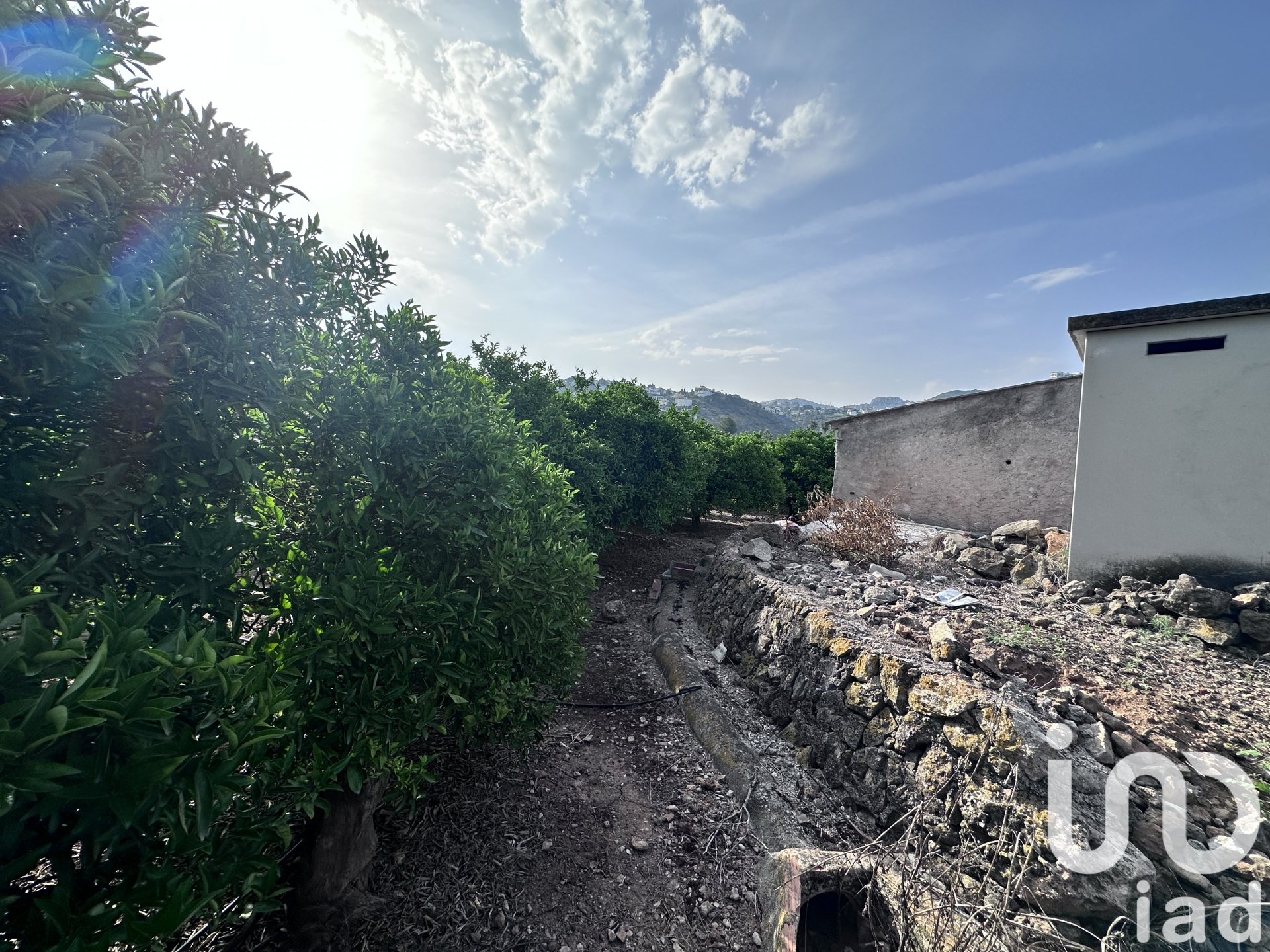 Liikekiinteistö Pego, Alicante, Espanja No. 185833